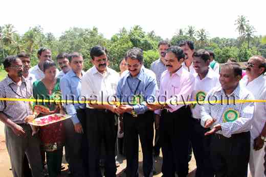 jackfruit mela13jun28 1